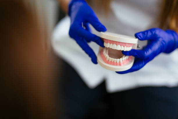 Wescosville, PA  Holistic Dental Services Company